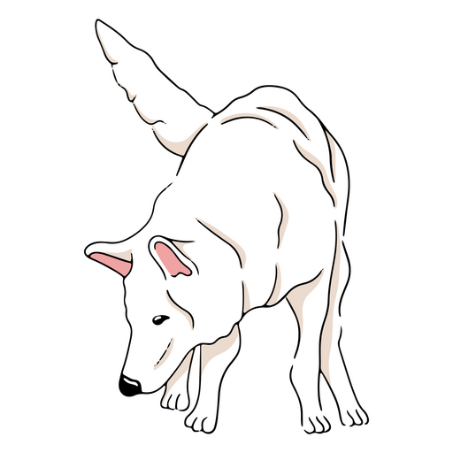 Weißer Schäferhund schnüffelt PNG-Design