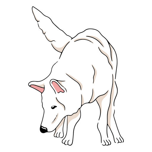 White shepherd dog sniffing PNG Design