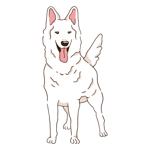 Cão feliz pastor branco Desenho PNG