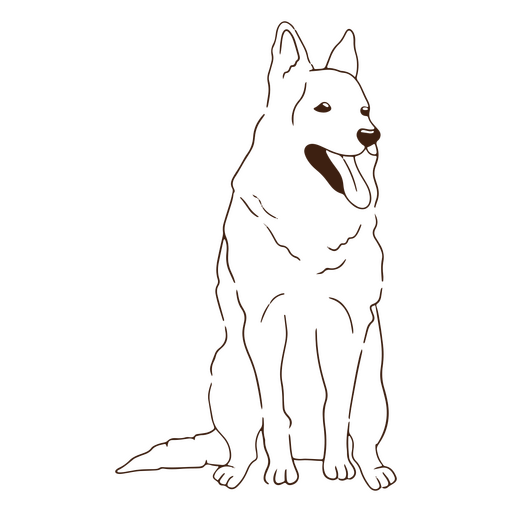Curso sentado de cão pastor branco Desenho PNG