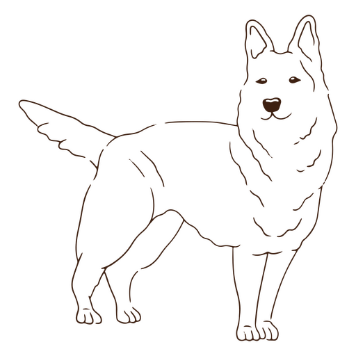 AVC de cão pastor branco Desenho PNG