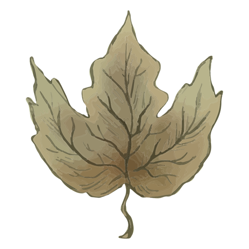 Isolated mandragora leaf PNG Design