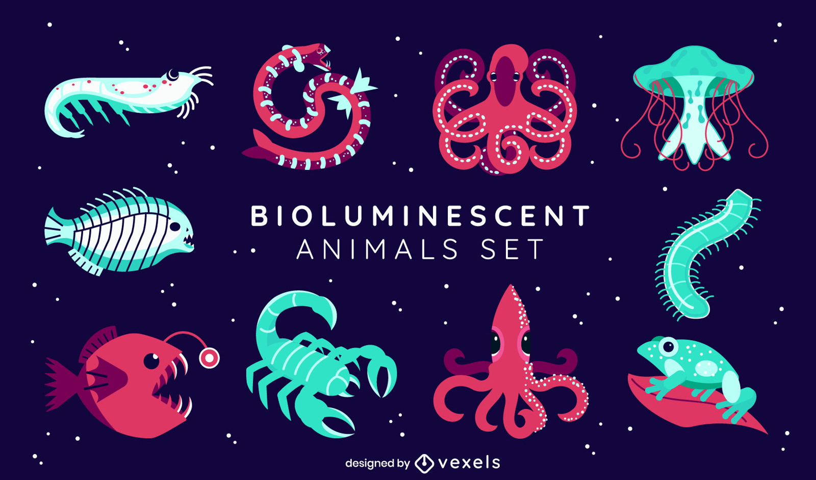 Bioluminiscent animals set