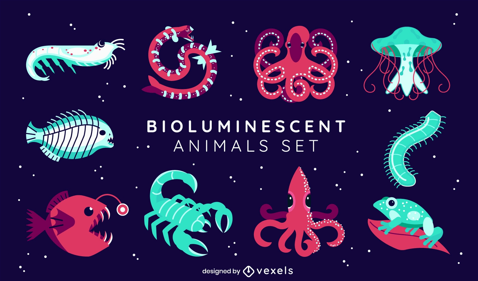 Conjunto de animales bioluminiscentes