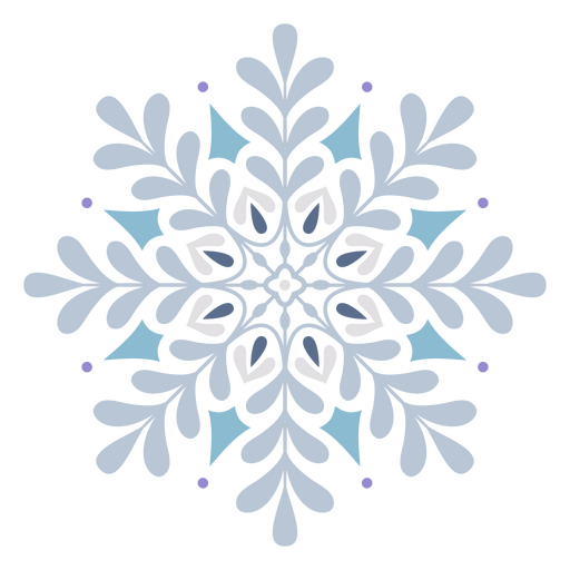 Encantador copo de nieve de maravilla de invierno Diseño PNG