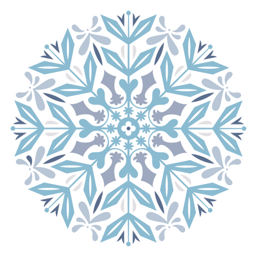 Captivating winter marvel snowflake    PNG Design