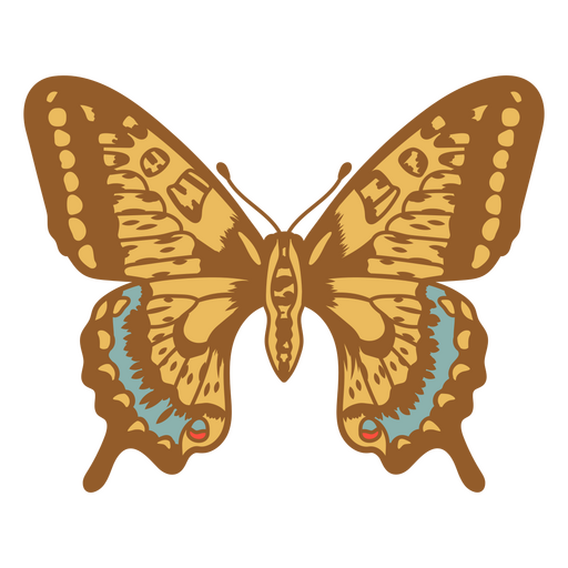 Linda borboleta de cores vivas Desenho PNG