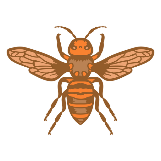 Beautiful bee with vibrant orange color    PNG Design