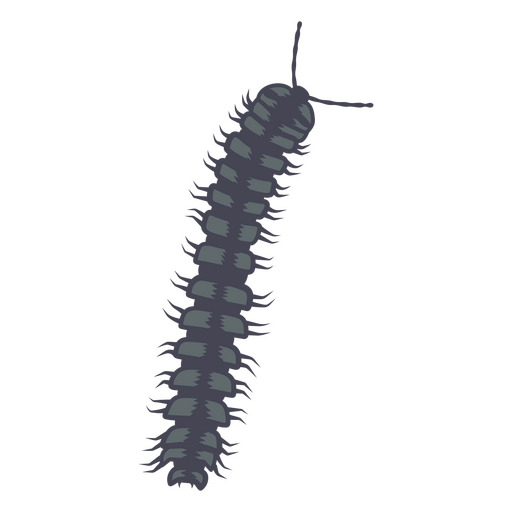 Black centipede    PNG Design