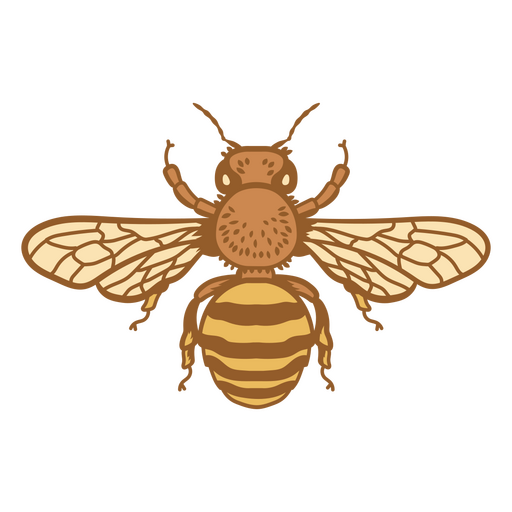 Biene mit ausgebreiteten Fl?geln PNG-Design