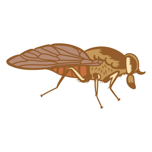Visão geral de uma mosca Desenho PNG