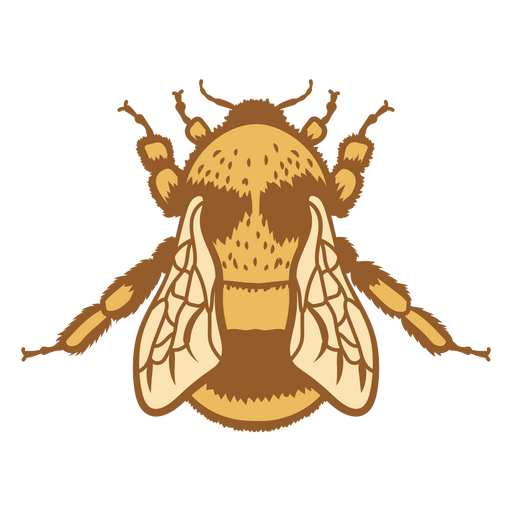Visão geral de uma abelha Desenho PNG