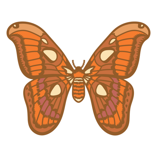 Mariposa con las alas extendidas Diseño PNG