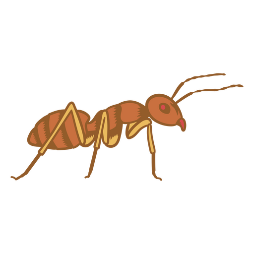 hormiga trabajadora Diseño PNG
