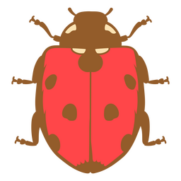 Splendid beetle with bright red hues    PNG Design