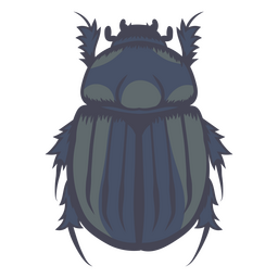 Dark-toned beetle    PNG Design
