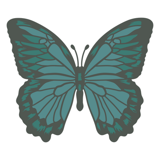 Schöner grün getönter Schmetterling PNG-Design