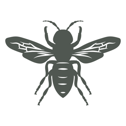 Imagen oscura de una mosca Diseño PNG