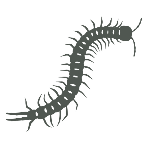 Dark image of a centipede    PNG Design