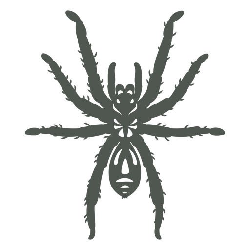 Imagen oscura de una tarántula Diseño PNG