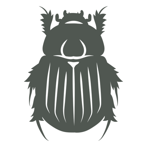 Dark image of a beetle    PNG Design