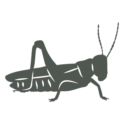 Dark image of a cricket    PNG Design