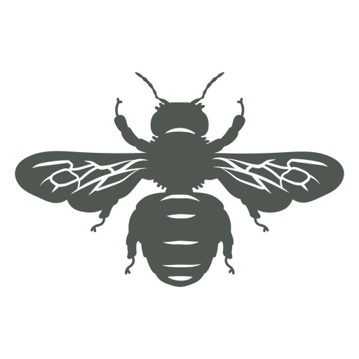 Eine Wespe im Schatten PNG-Design