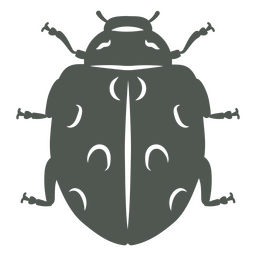 A beetle in the shadows    PNG Design