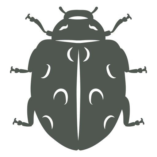 Ein Käfer im Schatten PNG-Design