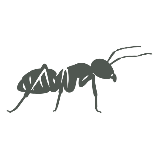 Eine Ameise im Schatten PNG-Design