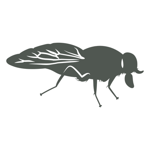 Eine Mücke im Schatten PNG-Design