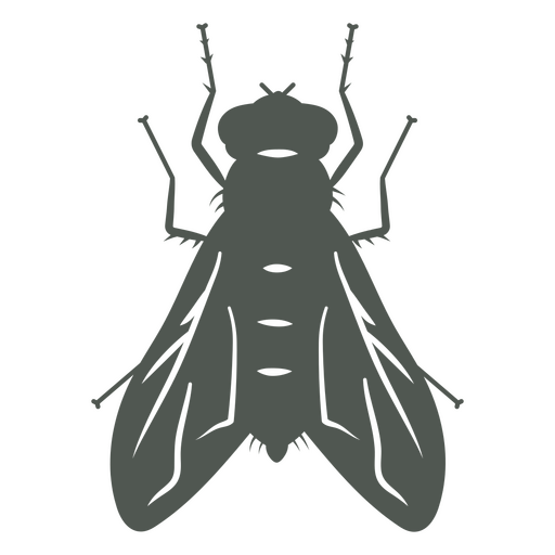 Una mosca en las sombras Diseño PNG