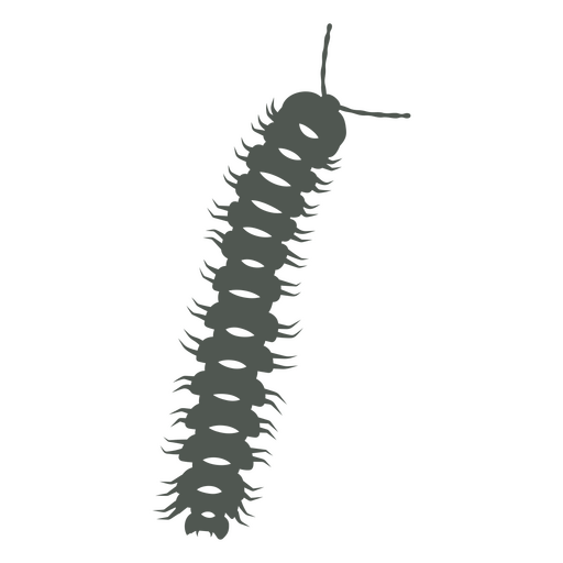 A centipede in the shadows    PNG Design