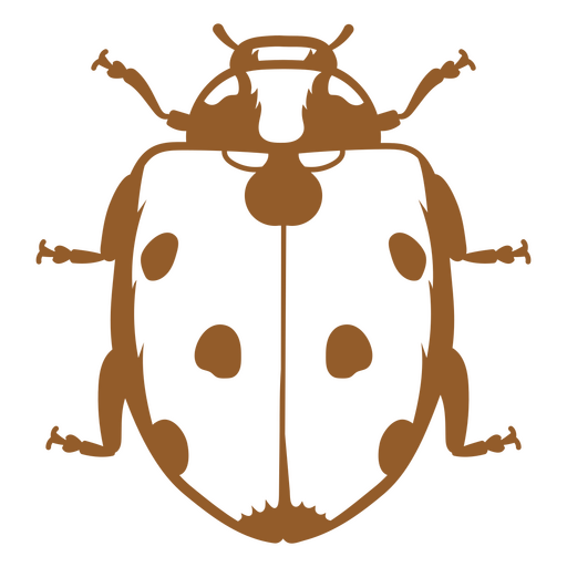 Diseño de trazo de escarabajo Diseño PNG