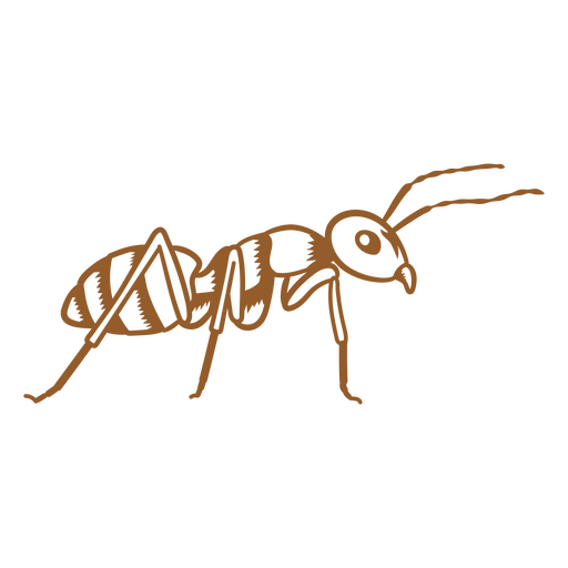 Ant stroke image PNG Design