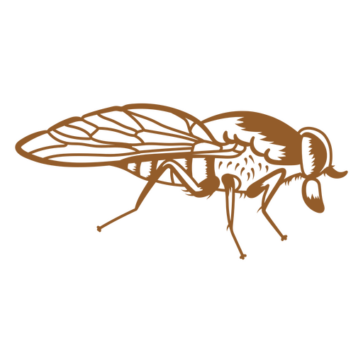 Diseño de trazo de mosquito Diseño PNG