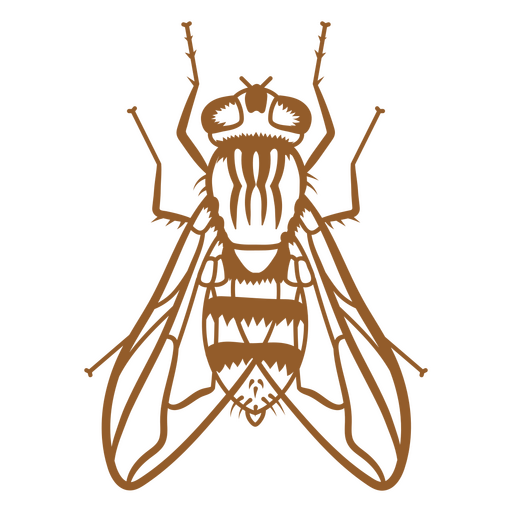 Diseño de trazo de mosca Diseño PNG