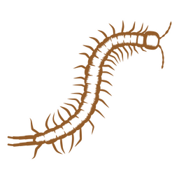 Centipede Stroke Image Png & Svg Design For T-shirts