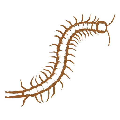 Centipede stroke image PNG Design