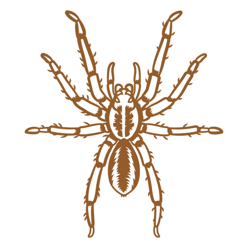 Image of a hairy tarantula PNG Design