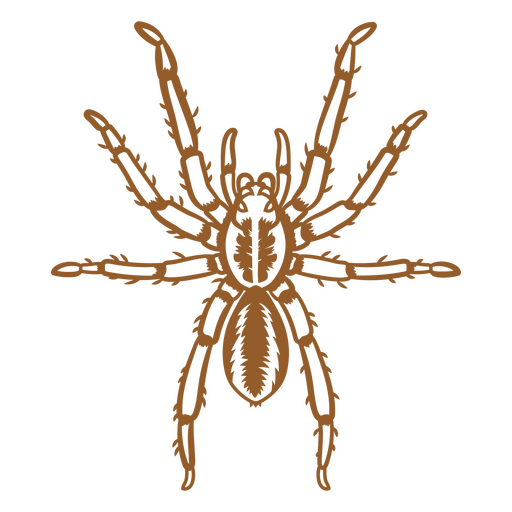 Imagen de una tarántula peluda Diseño PNG