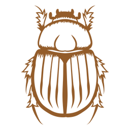 Image of a scarab beetle PNG Design