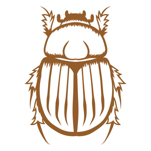 Image of a scarab beetle PNG Design