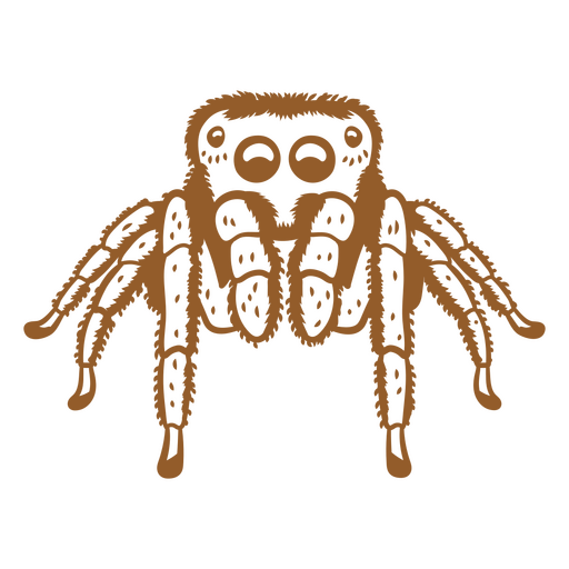 Image of a hairy spider PNG Design