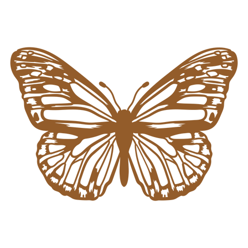 Mariposa con sus vibrantes alas abiertas Diseño PNG