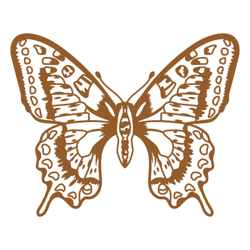 Mariposa abrió sus vibrantes alas en todo su ancho Diseño PNG