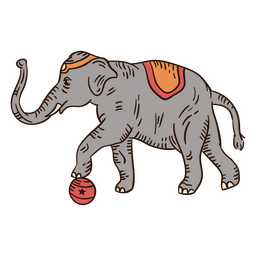 Circus Elephant Character PNG & SVG Design For T-Shirts