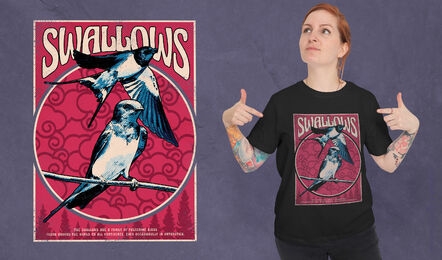 Swallow birds t-shirt design