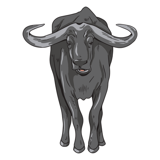 animal africano búfalo Desenho PNG