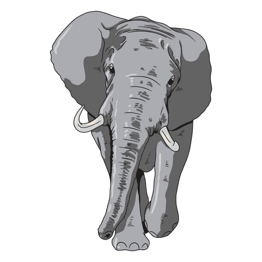 elefante animal africano Desenho PNG